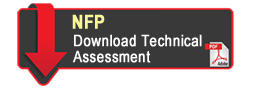 download pdf